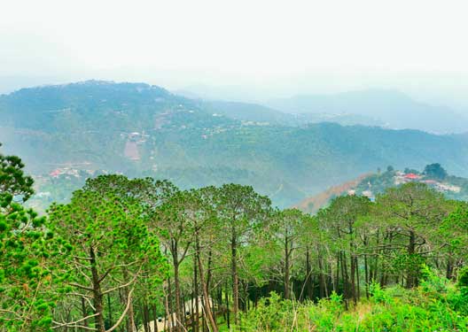 traveldilse-Kasauli Special